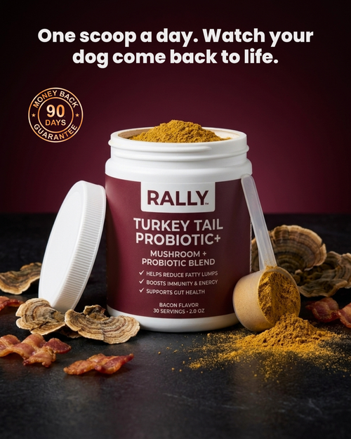 Turkey Tail Probiotic™